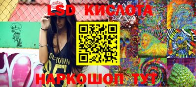 гидропоника Новозыбков