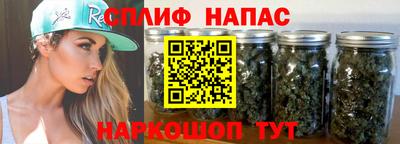 гидропоника Новозыбков