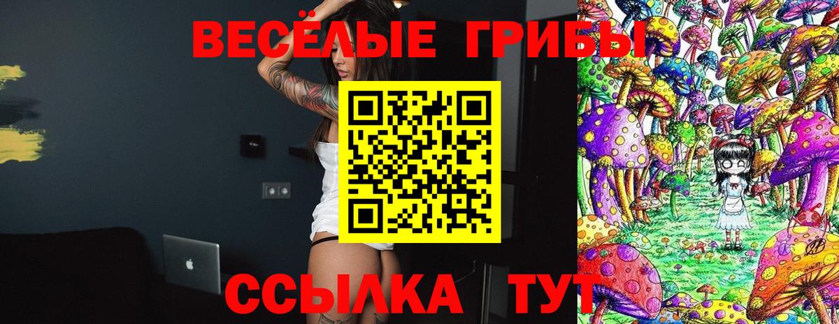 Сегежа  Галлюциногенные грибы Magic Shrooms  Псилоцибиновые грибы Cubensis  Вход с VPN 