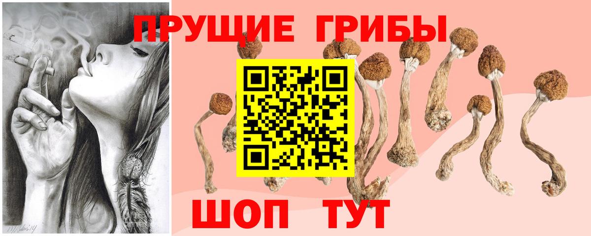 Псилоцибиновые грибы мицелий Сегежа